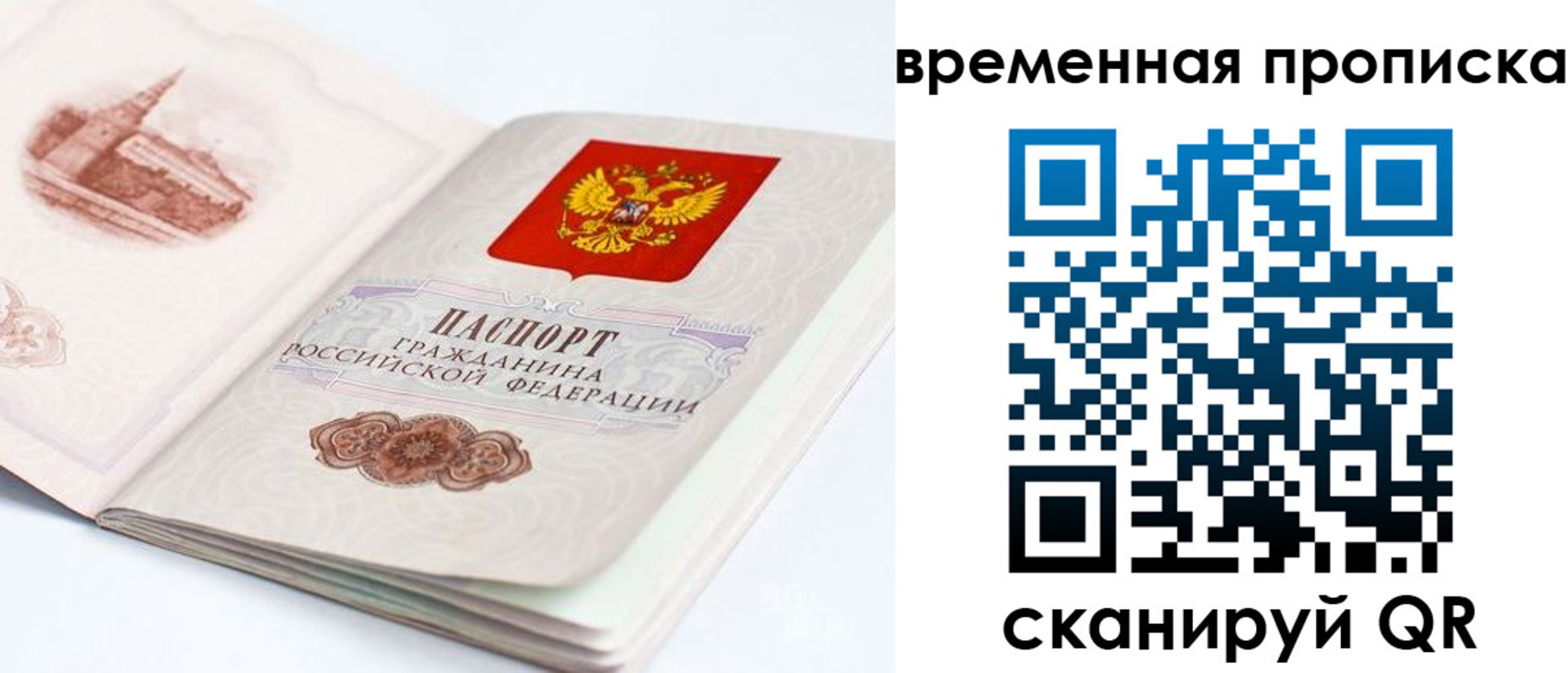регистрация в Камчатской области